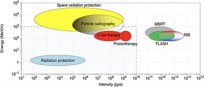 Biomedical Research Programs at Present and Future High-Energy Particle Accelerators